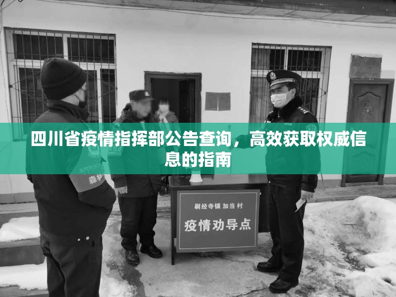 四川省疫情指挥部公告查询，高效获取权威信息的指南