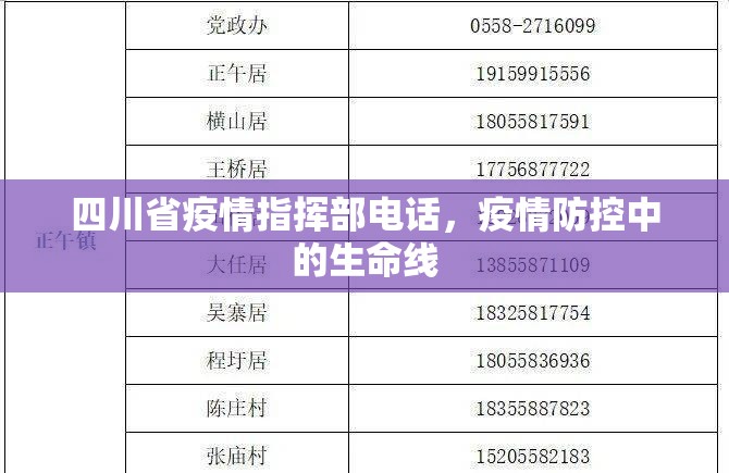 四川省疫情指挥部电话，疫情防控中的生命线
