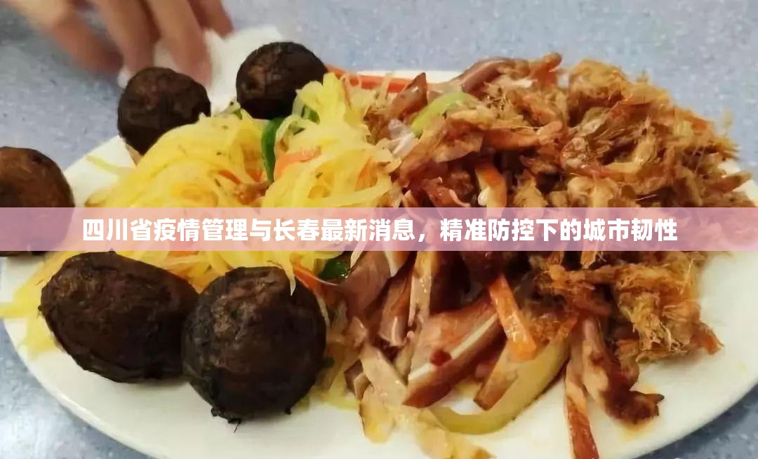 四川省疫情管理与长春最新消息，精准防控下的城市韧性