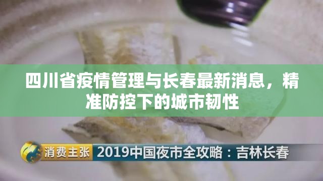 四川省疫情管理与长春最新消息，精准防控下的城市韧性