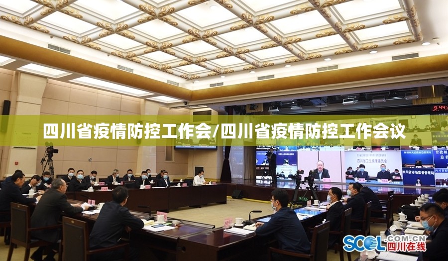 四川省疫情防控工作会/四川省疫情防控工作会议