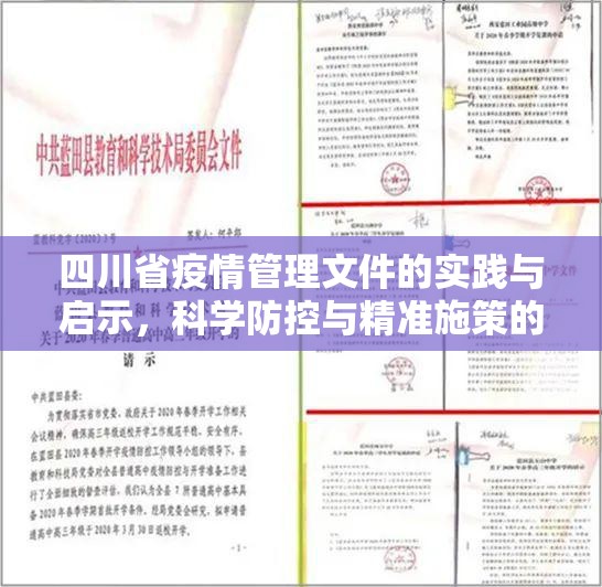 四川省疫情管理文件的实践与启示，科学防控与精准施策的双重探索