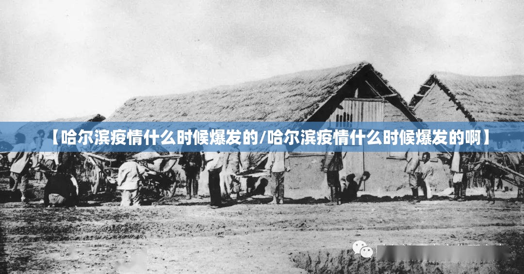 【哈尔滨疫情什么时候爆发的/哈尔滨疫情什么时候爆发的啊】