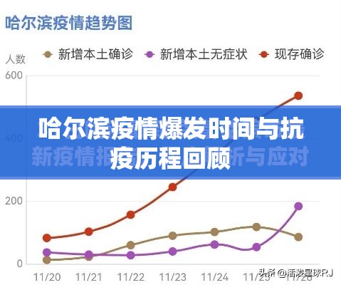 哈尔滨疫情爆发时间与抗疫历程回顾