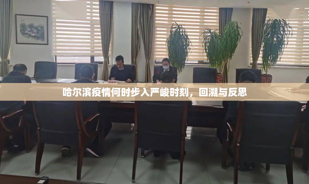 哈尔滨疫情何时步入严峻时刻，回溯与反思