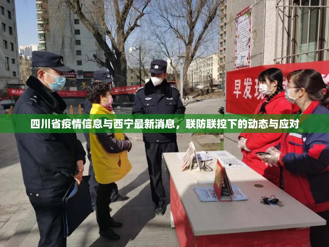 四川省疫情信息与西宁最新消息，联防联控下的动态与应对