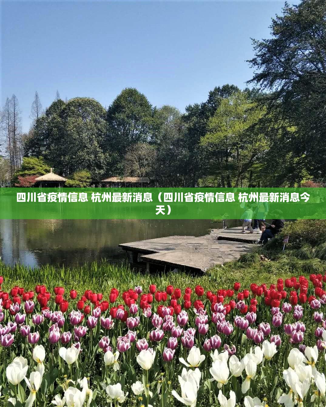 四川省疫情信息 杭州最新消息（四川省疫情信息 杭州最新消息今天）