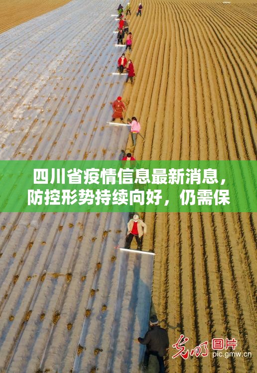 四川省疫情信息最新消息，防控形势持续向好，仍需保持警惕