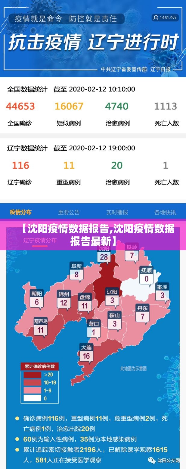 【沈阳疫情数据报告,沈阳疫情数据报告最新】