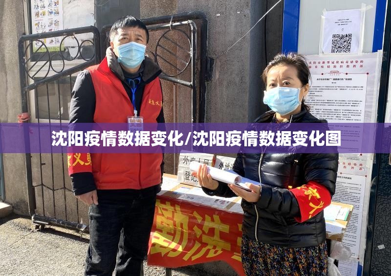 沈阳疫情数据变化/沈阳疫情数据变化图