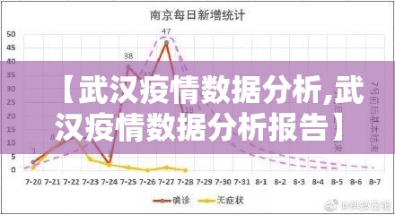 【武汉疫情数据分析,武汉疫情数据分析报告】