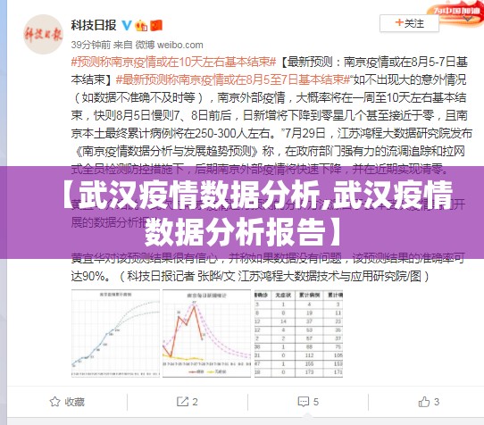 【武汉疫情数据分析,武汉疫情数据分析报告】