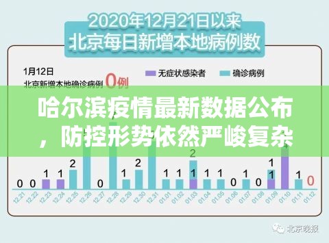 哈尔滨疫情最新数据公布，防控形势依然严峻复杂