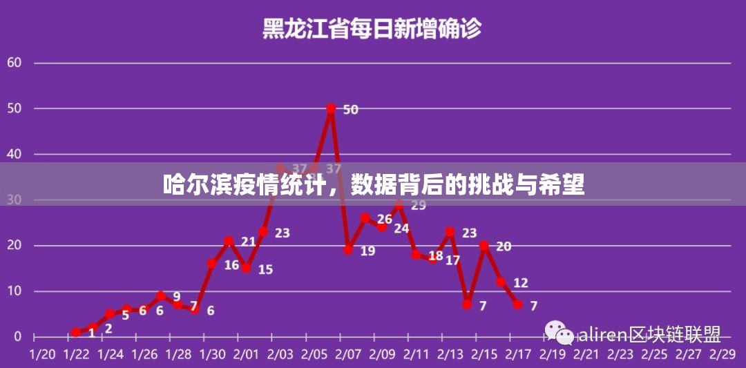 哈尔滨疫情统计，数据背后的挑战与希望