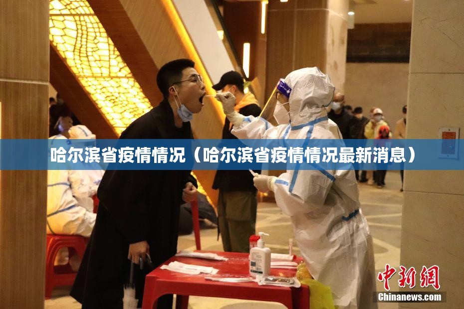 哈尔滨省疫情情况（哈尔滨省疫情情况最新消息）