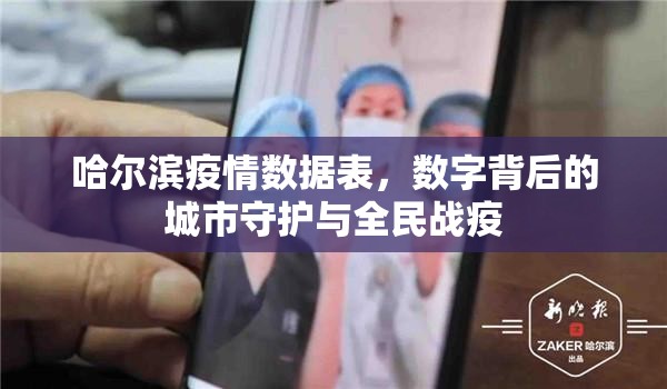 哈尔滨疫情数据表，数字背后的城市守护与全民战疫