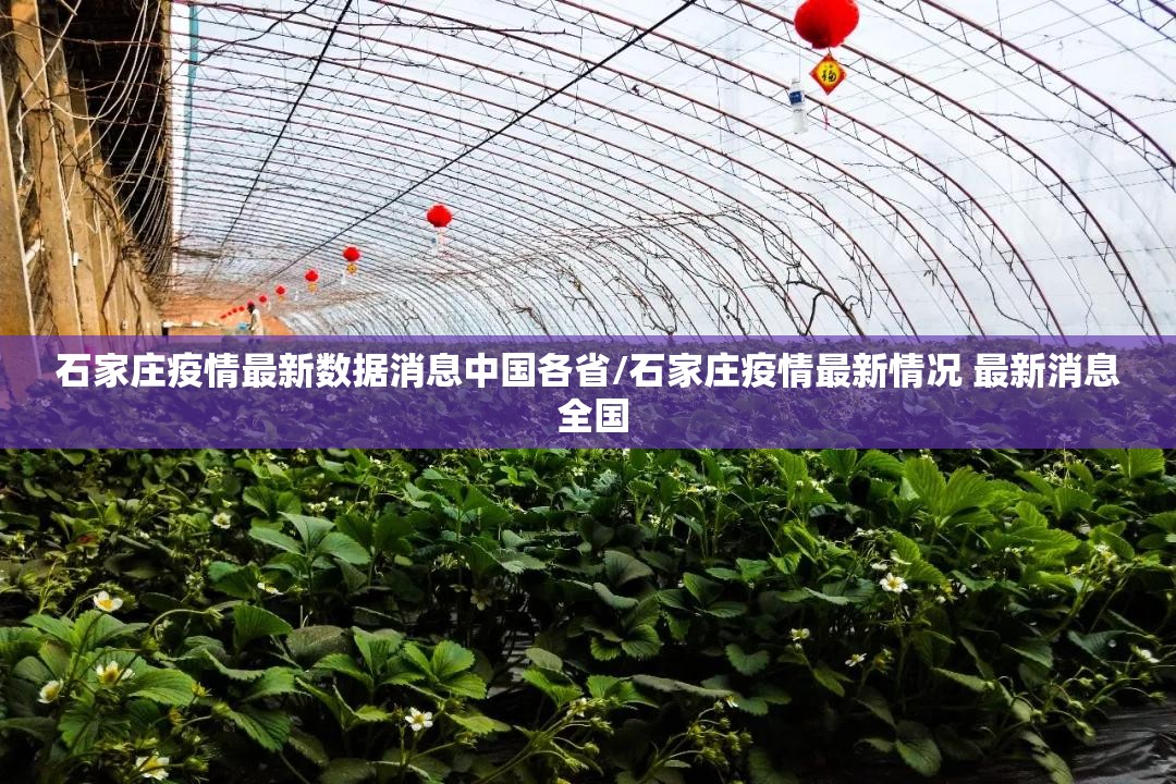 石家庄疫情最新数据消息中国各省/石家庄疫情最新情况 最新消息 全国