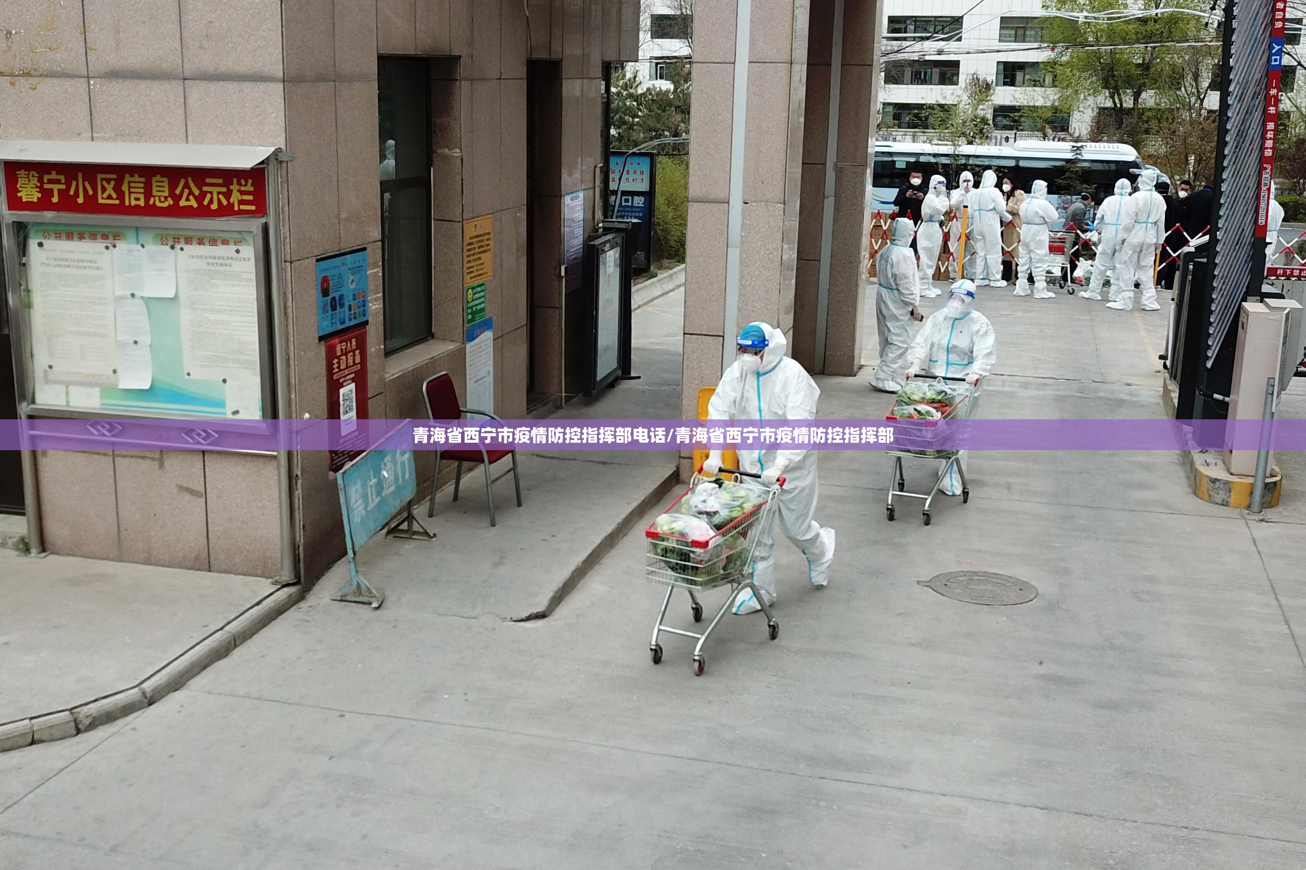 青海省西宁市疫情防控指挥部电话/青海省西宁市疫情防控指挥部