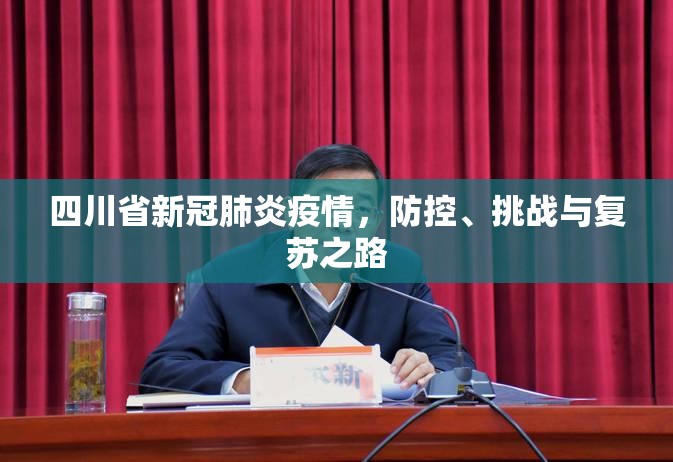 四川省新冠肺炎疫情，防控、挑战与复苏之路
