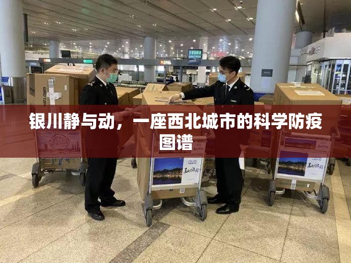 银川静与动，一座西北城市的科学防疫图谱