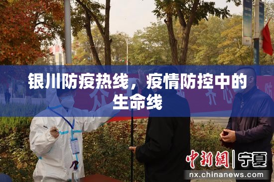 银川防疫热线，疫情防控中的生命线