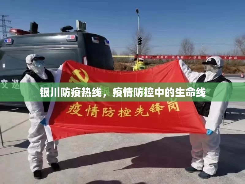 银川防疫热线，疫情防控中的生命线