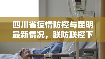 四川省疫情防控与昆明最新情况，联防联控下的区域协作与应对