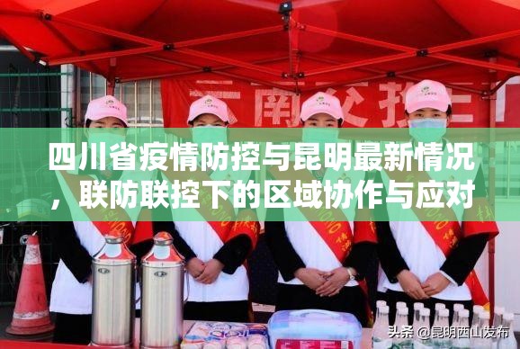 四川省疫情防控与昆明最新情况，联防联控下的区域协作与应对