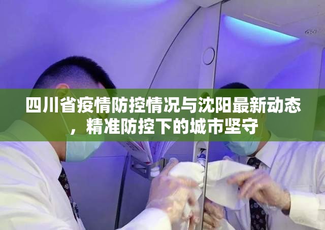 四川省疫情防控情况与沈阳最新动态，精准防控下的城市坚守