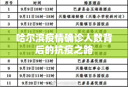 哈尔滨疫情确诊人数背后的抗疫之路