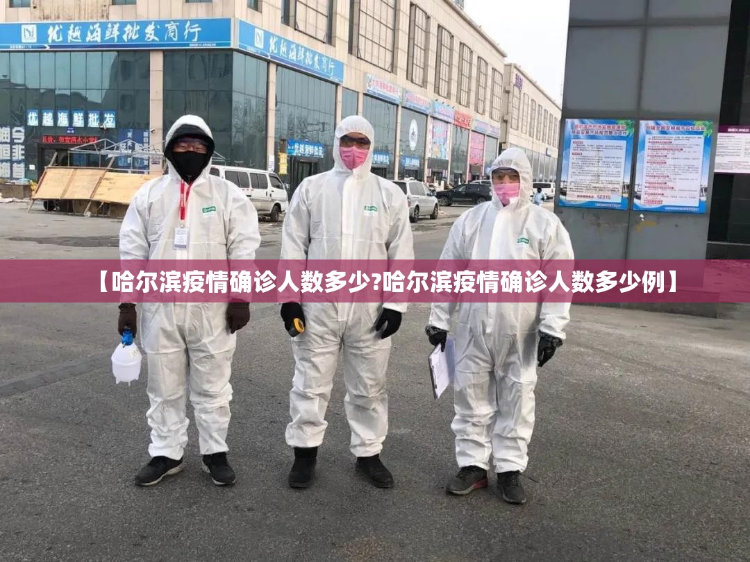 【哈尔滨疫情确诊人数多少?哈尔滨疫情确诊人数多少例】