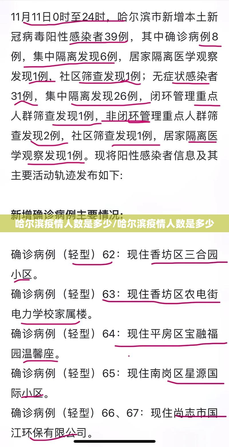 哈尔滨疫情人数是多少/哈尔滨疫情人数是多少