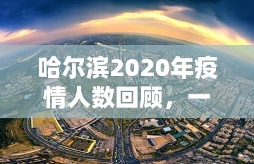 哈尔滨2020年疫情人数回顾，一座城市的坚韧与守护