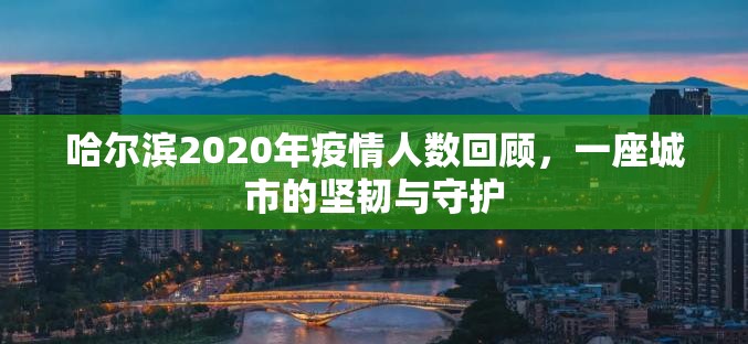 哈尔滨2020年疫情人数回顾，一座城市的坚韧与守护