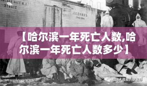 【哈尔滨一年死亡人数,哈尔滨一年死亡人数多少】