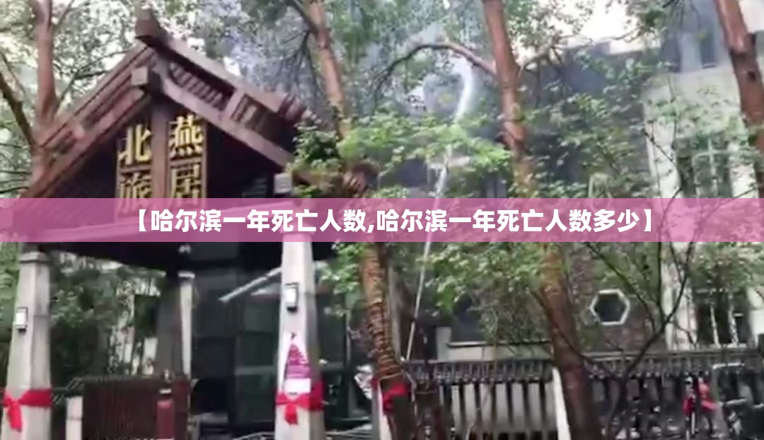 【哈尔滨一年死亡人数,哈尔滨一年死亡人数多少】
