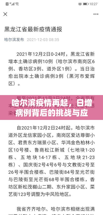 哈尔滨疫情再起，日增病例背后的挑战与应对