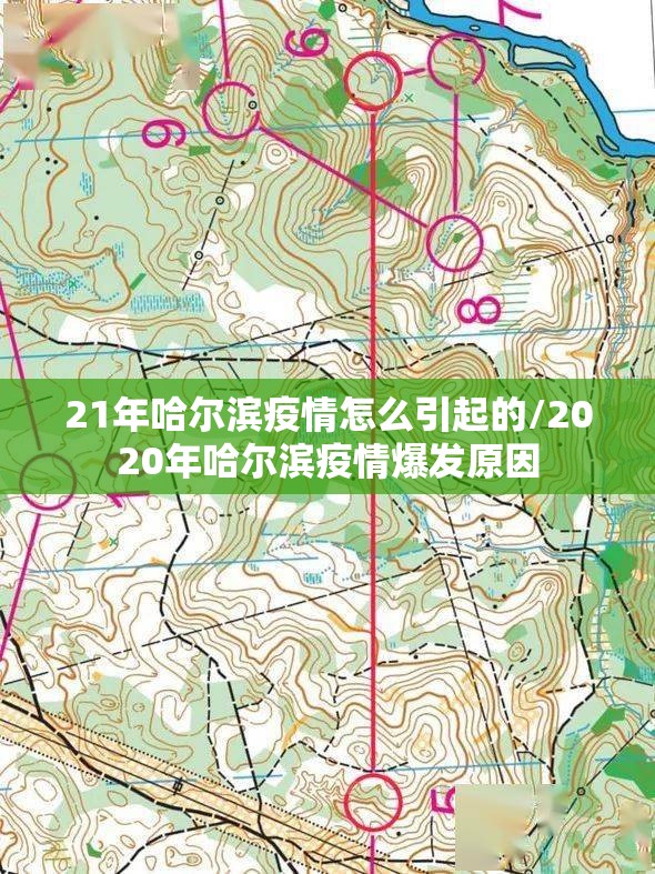 21年哈尔滨疫情怎么引起的/2020年哈尔滨疫情爆发原因