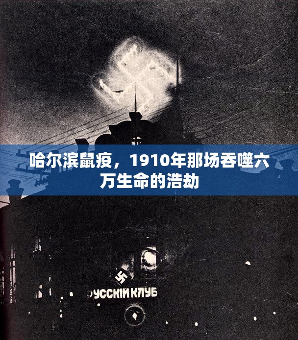 哈尔滨鼠疫，1910年那场吞噬六万生命的浩劫
