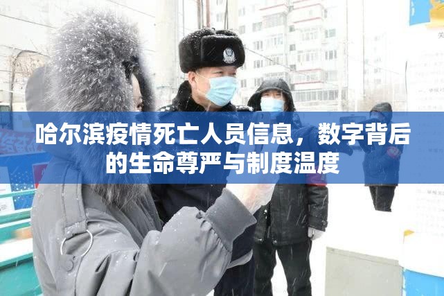 哈尔滨疫情死亡人员信息，数字背后的生命尊严与制度温度