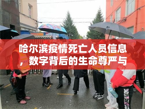 哈尔滨疫情死亡人员信息，数字背后的生命尊严与制度温度