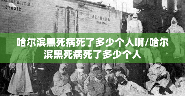 哈尔滨黑死病死了多少个人啊/哈尔滨黑死病死了多少个人