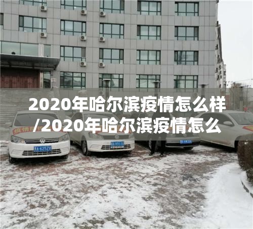 2020年哈尔滨疫情怎么样/2020年哈尔滨疫情怎么样了