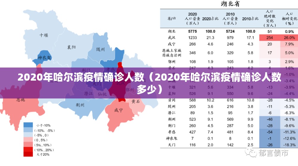 2020年哈尔滨疫情确诊人数（2020年哈尔滨疫情确诊人数多少）