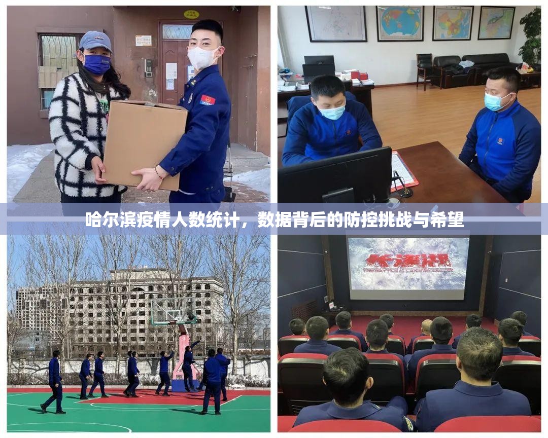 哈尔滨疫情人数统计，数据背后的防控挑战与希望
