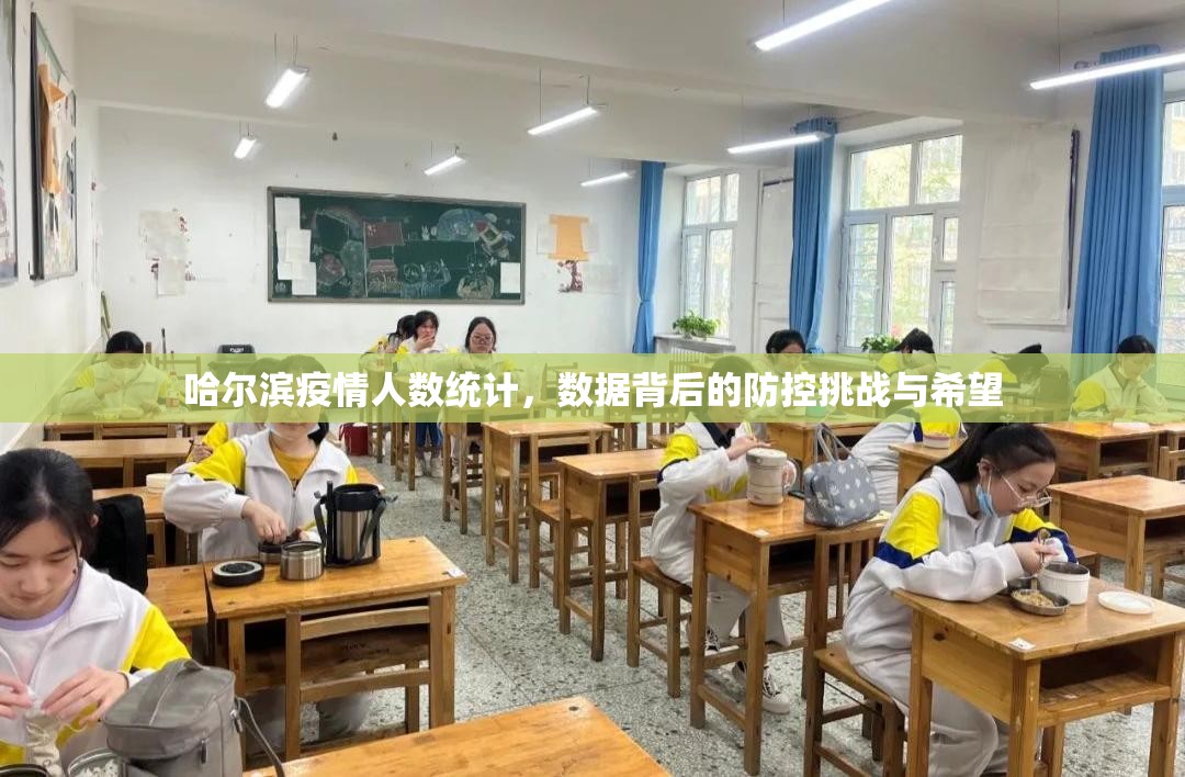 哈尔滨疫情人数统计，数据背后的防控挑战与希望