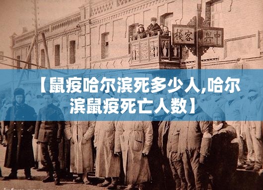 【鼠疫哈尔滨死多少人,哈尔滨鼠疫死亡人数】