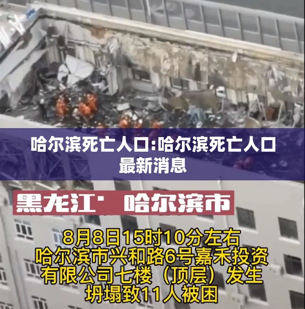 哈尔滨死亡人口:哈尔滨死亡人口最新消息