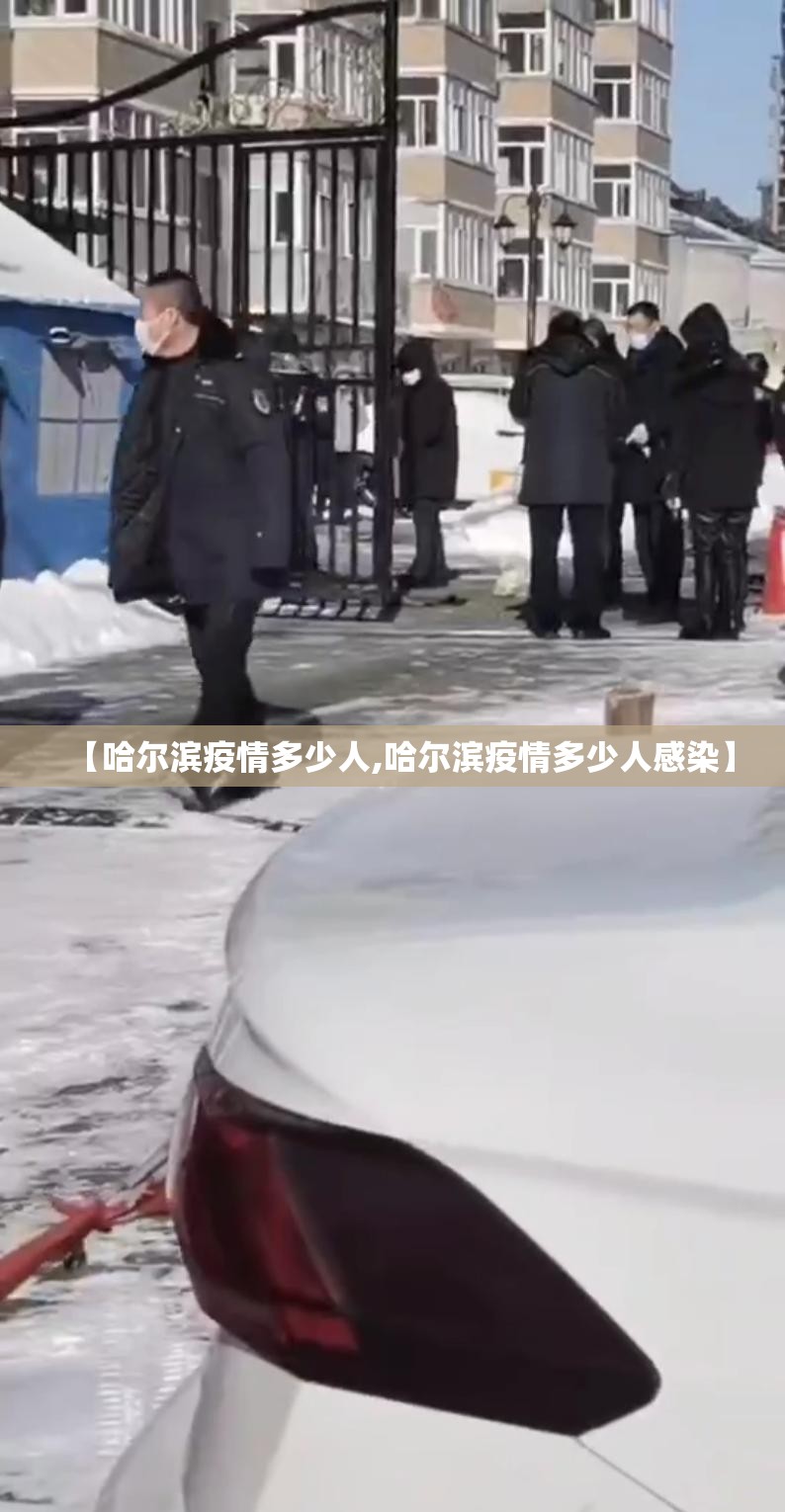 【哈尔滨疫情多少人,哈尔滨疫情多少人感染】