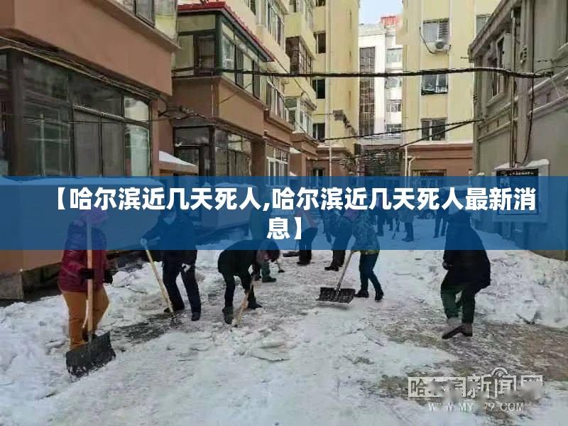【哈尔滨近几天死人,哈尔滨近几天死人最新消息】